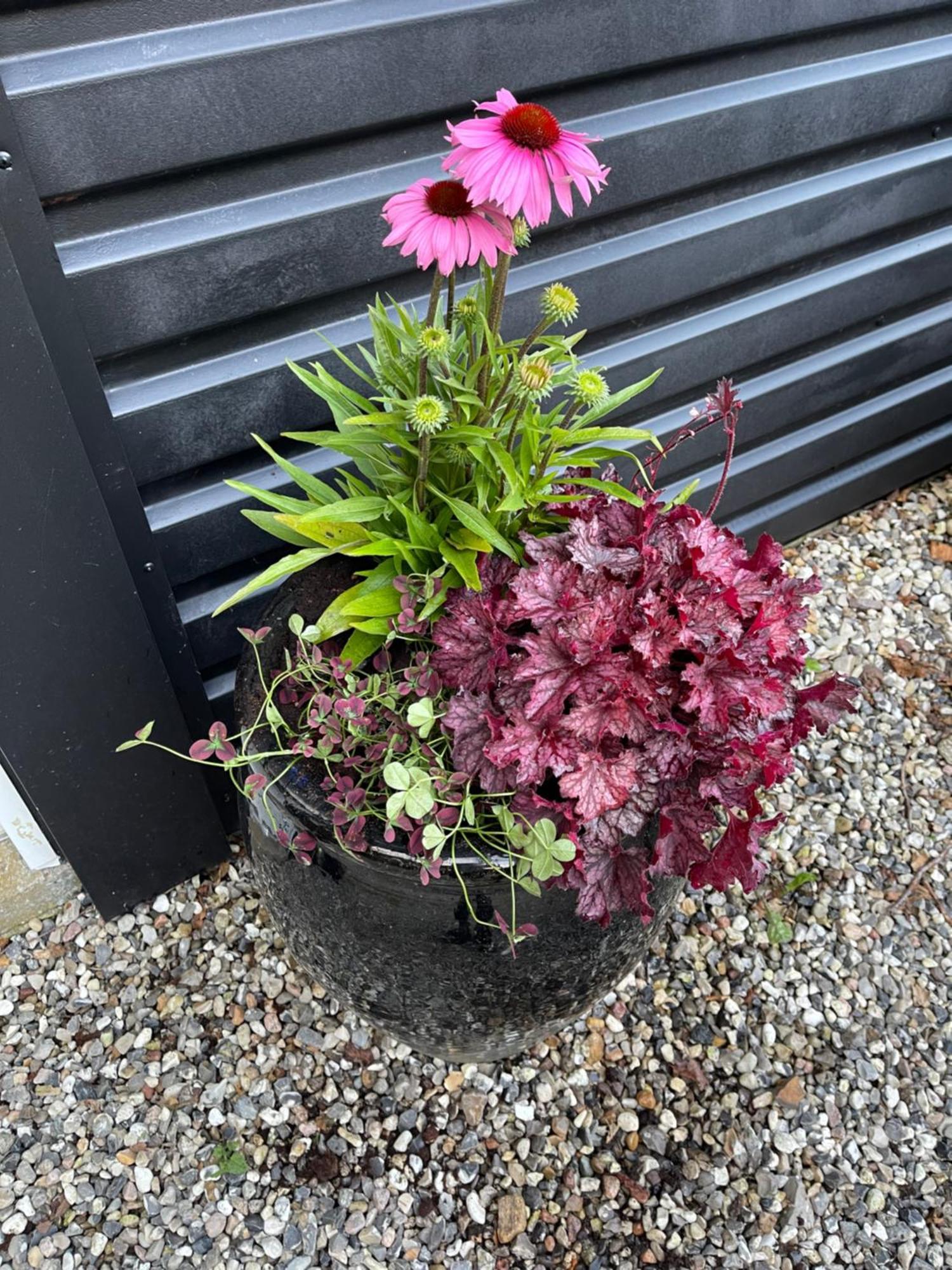 B&B Saga Herning Exterior foto