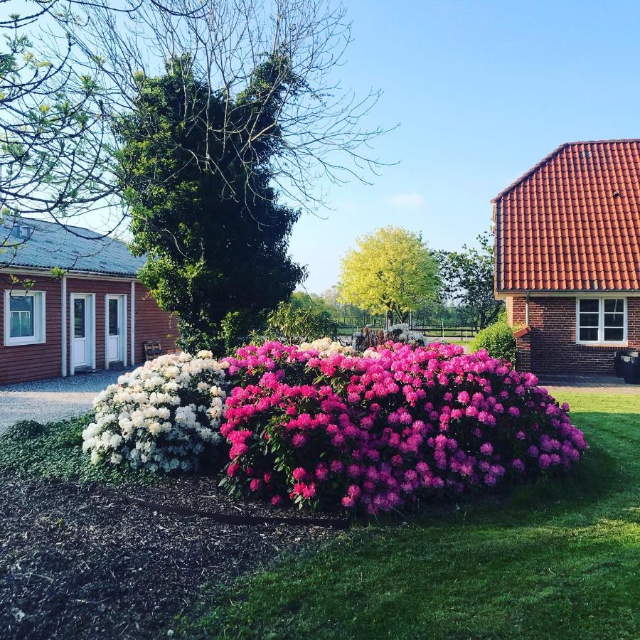 B&B Saga Herning Exterior foto